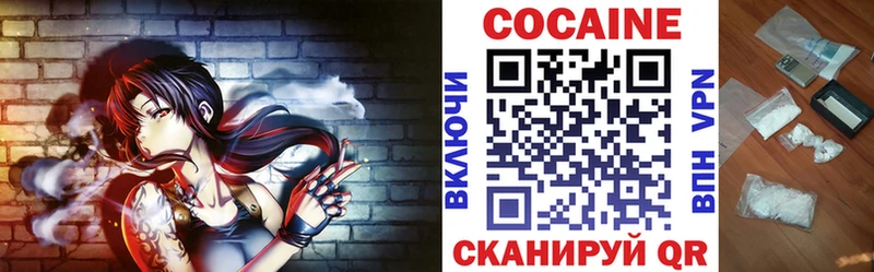 Кокаин FishScale  Купить закладки  Инсар 