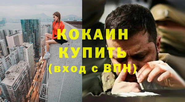 твердый Гусь-Хрустальный