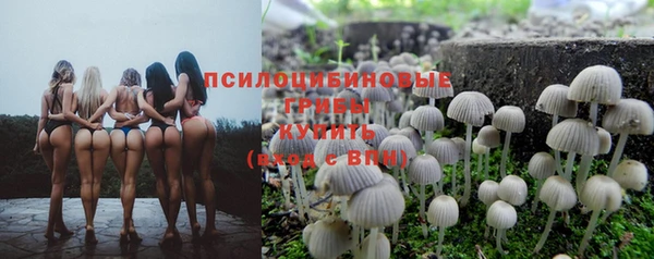 меф Гусиноозёрск